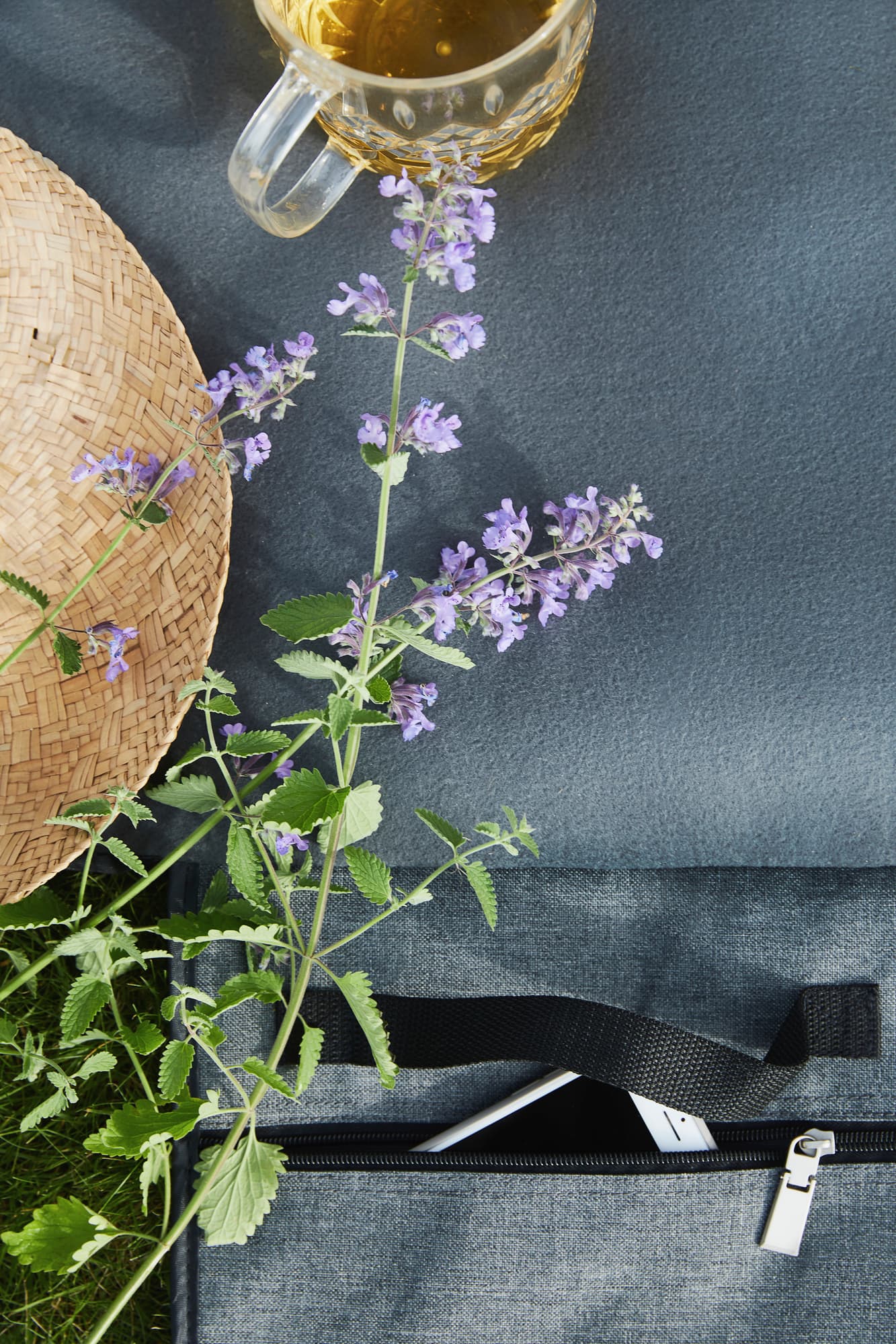 Piknik Juni Mugge – bilde 5