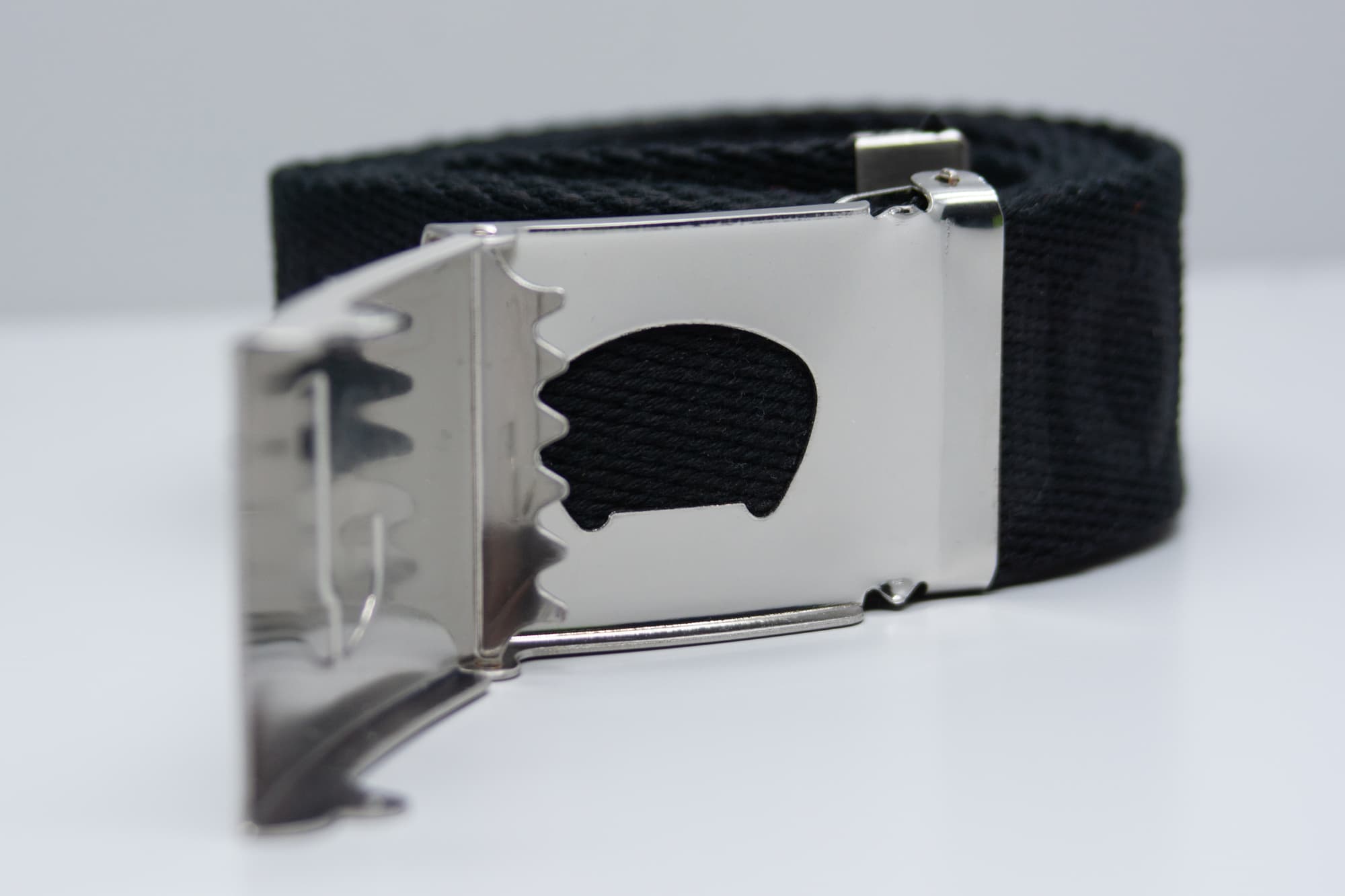 Belt – bilde 5