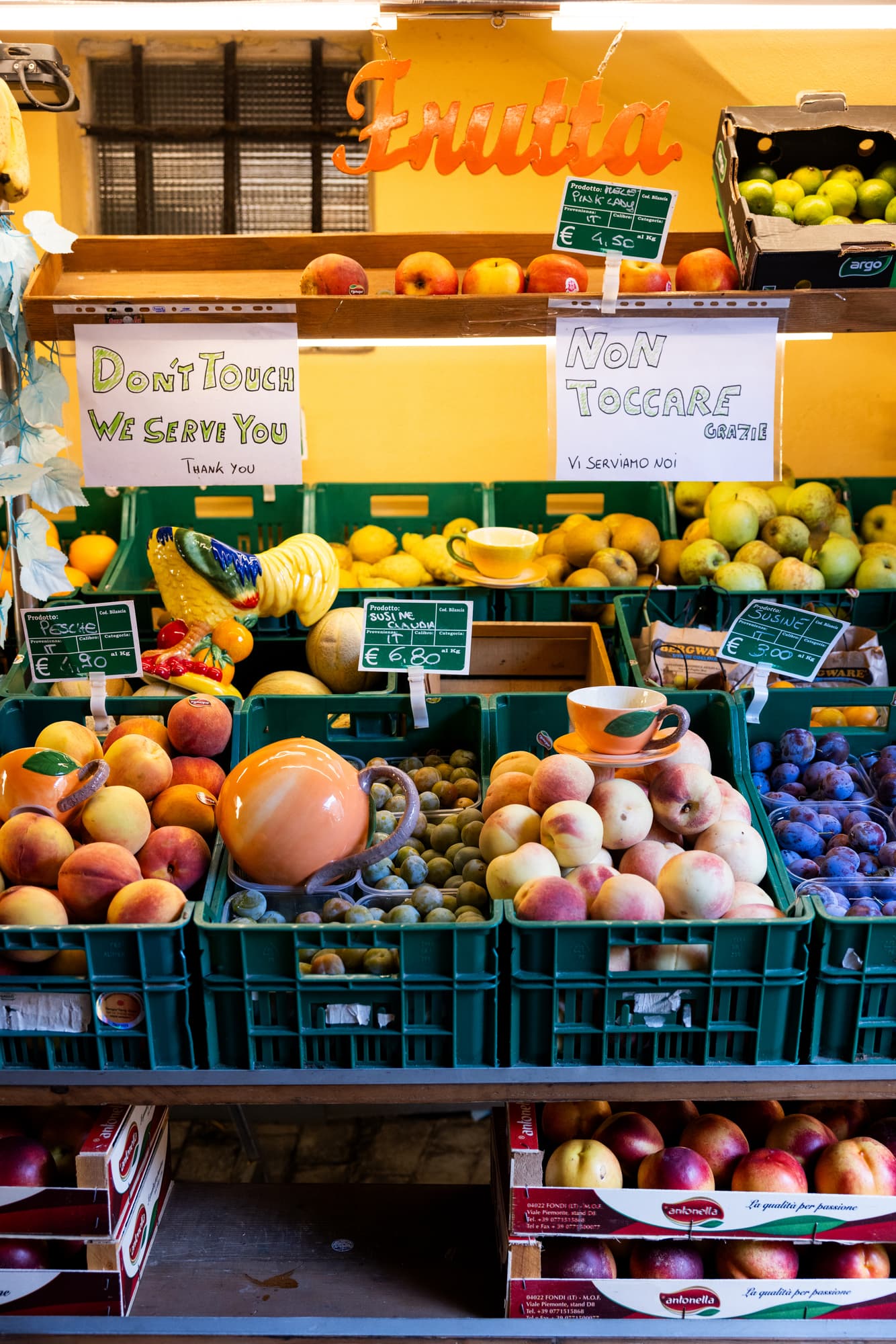 Skål Fruity Rooster – bilde 4