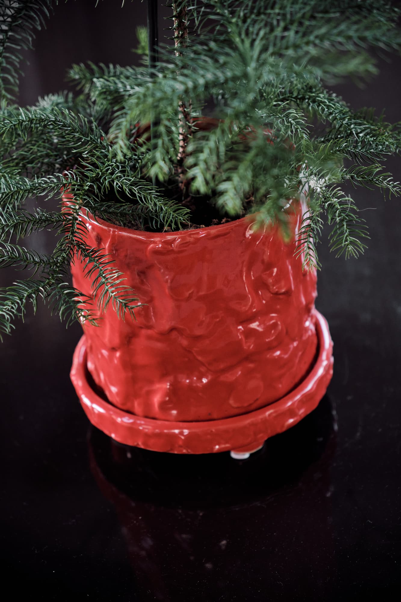 Potte Muddy S